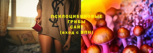 PSILOCYBIN Балахна