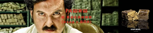 PSILOCYBIN Балахна