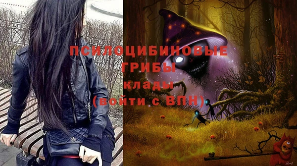 бутират Баксан