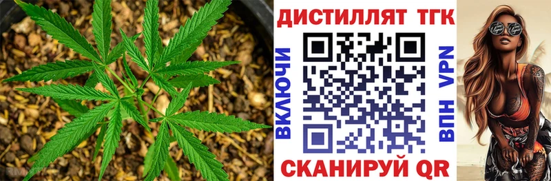 купить наркотики сайты  маркетплейс клад  ТГК гашишное масло  Губаха 