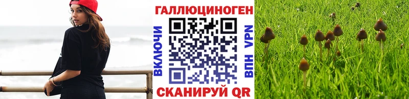 Галлюциногенные грибы GOLDEN TEACHER продажа наркотиков Губаха