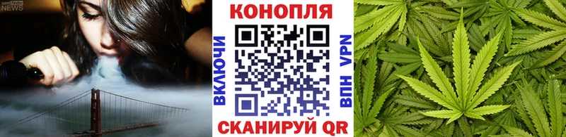 купить закладку  Губаха  Конопля SATIVA & INDICA 
